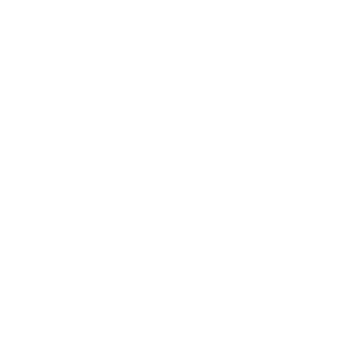 Veilig & Professioneel Vervoer
